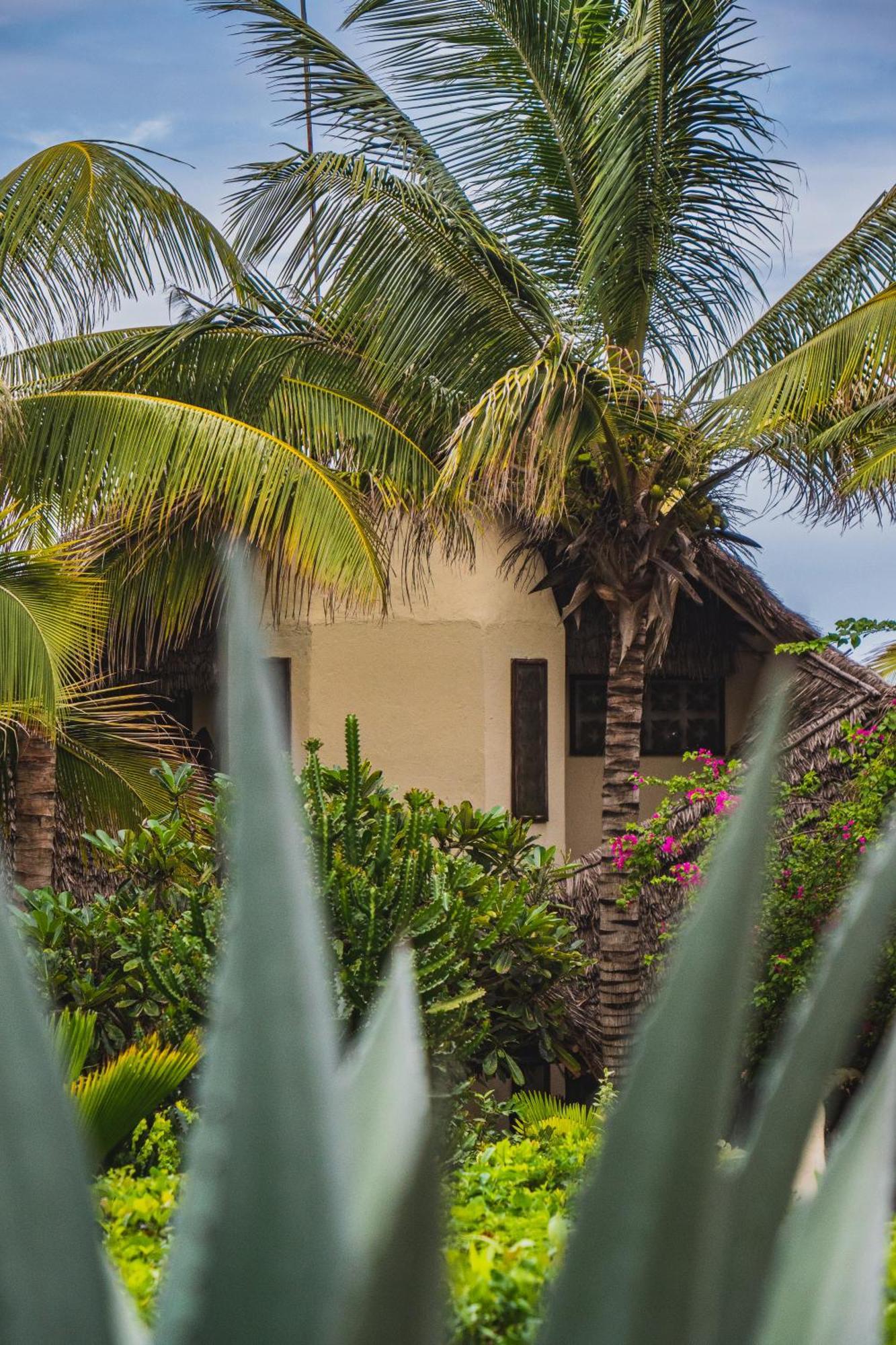 Sunshine Marine Lodge Matemwe  Dış mekan fotoğraf