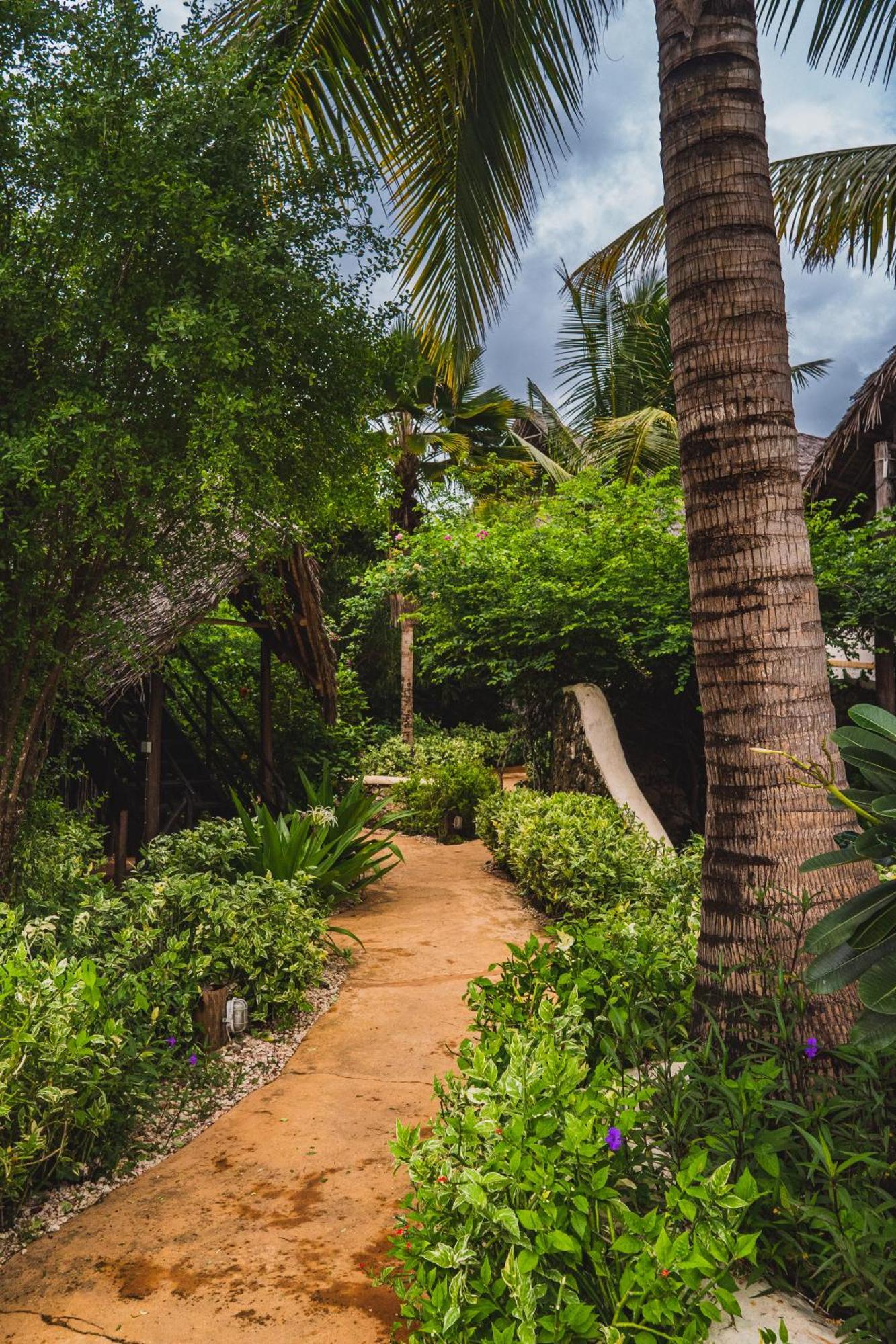 Sunshine Marine Lodge Matemwe  Dış mekan fotoğraf